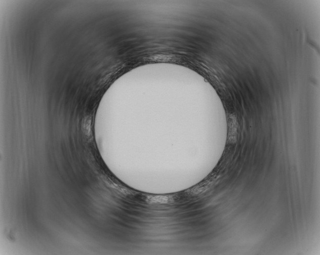 X0000096660230200803041207