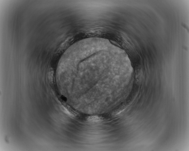 X0000096660231200803041207