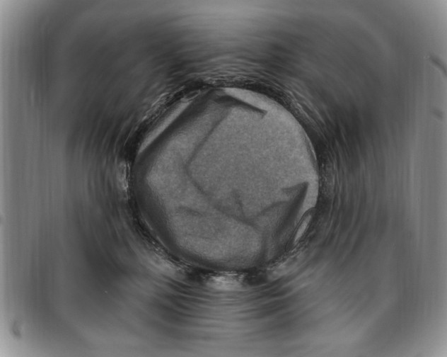 X0000096660232200803041207