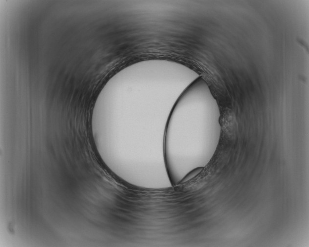 X0000096660233200803041207