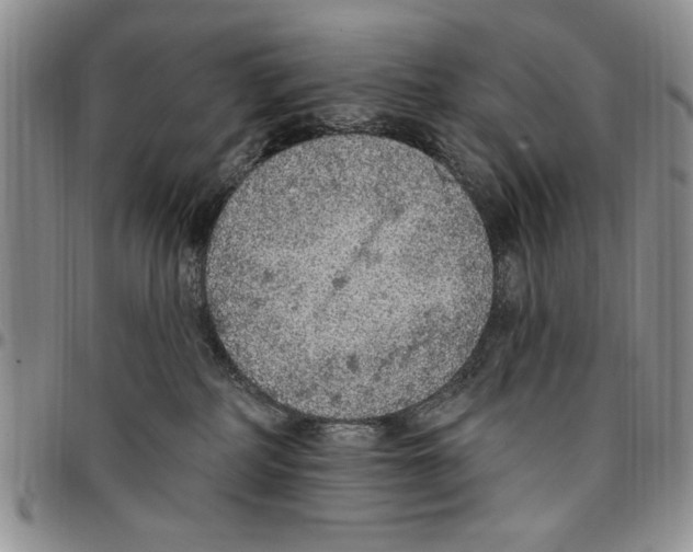 X0000096660234200803041207