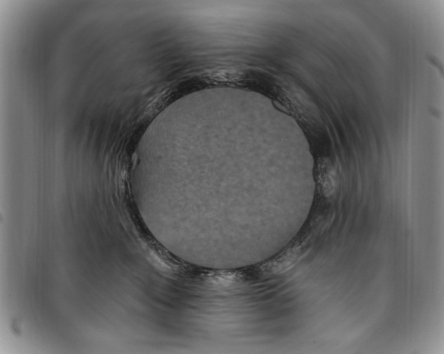 X0000096660235200803041207