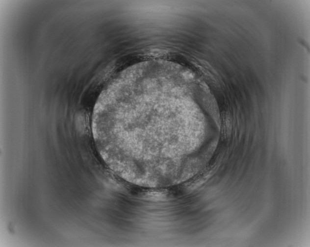 X0000096660236200803041207