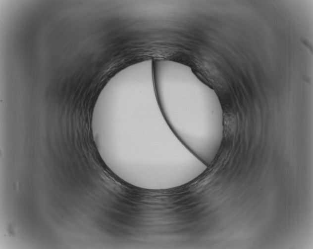 X0000096660237200803041207