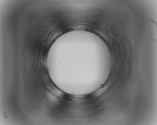 X0000096660240200803041207