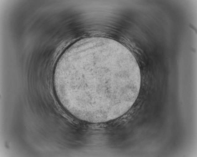 X0000096660241200803041206