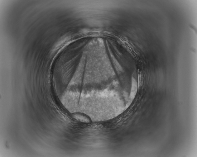 X0000096660243200803041206