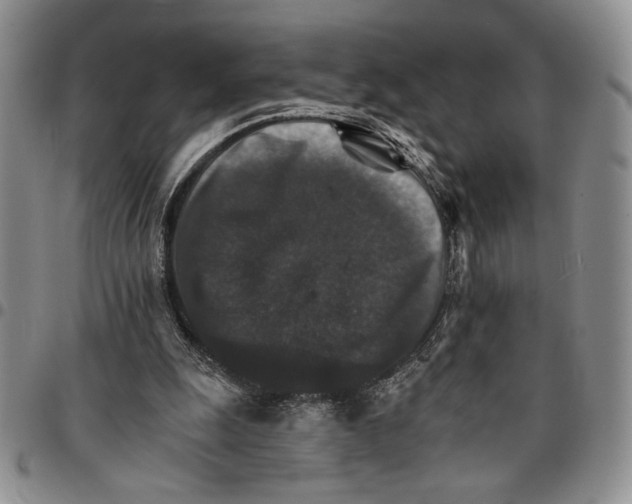 X0000096660247200803041206