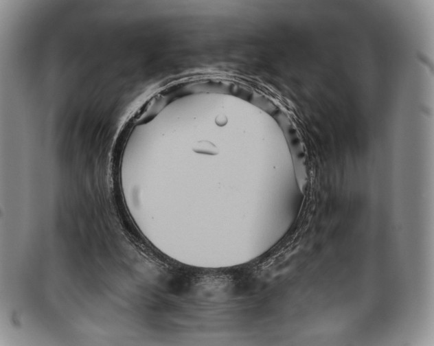 X0000096660248200803041206