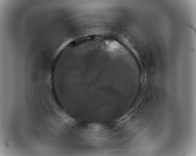 X0000096660249200803041206