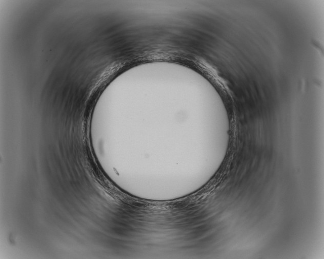 X0000096660250200803041206