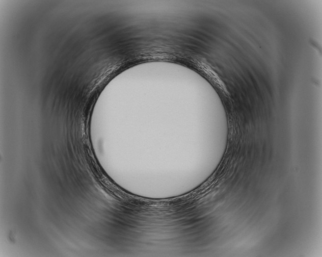 X0000096660251200803041206