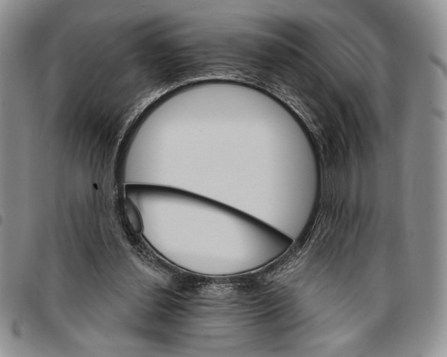 X0000096660252200803041206