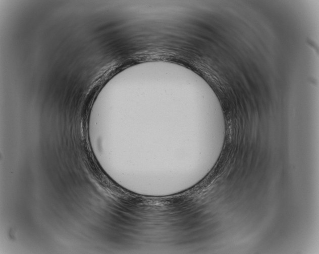 X0000096660254200803041206