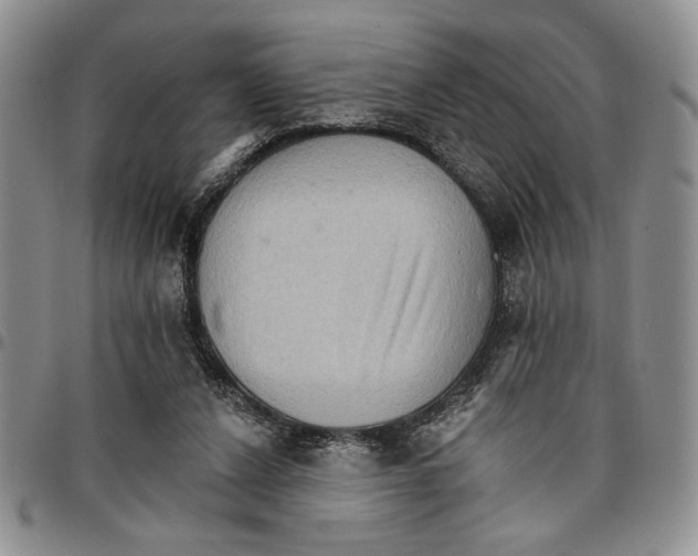 X0000096660256200803041206