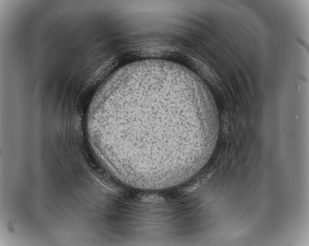 X0000096660258200803041206