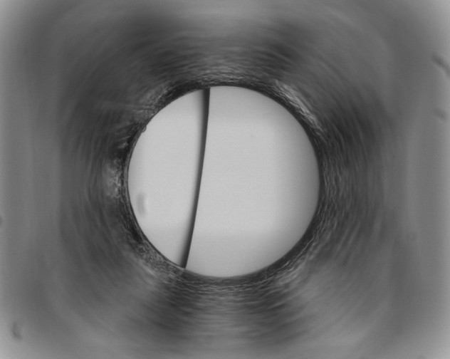 X0000096660259200803041206