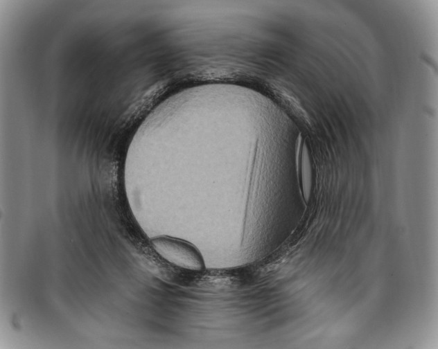 X0000096660260200803041206