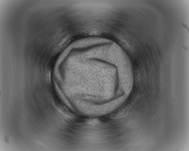 X0000096660262200803041206