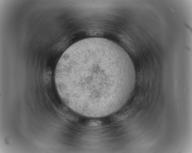 X0000096660263200803041206