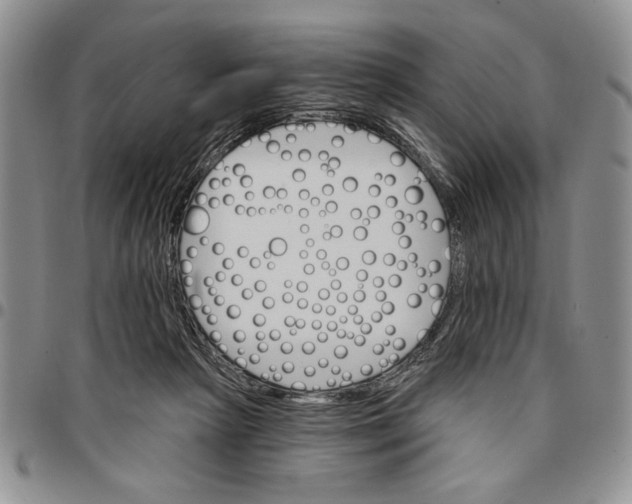 X0000096660265200803041206