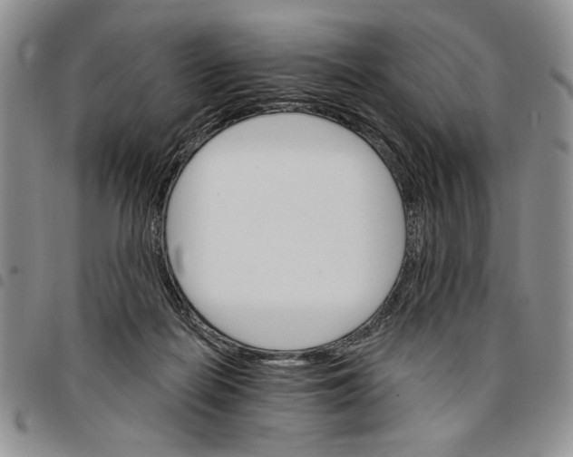 X0000096660266200803041206