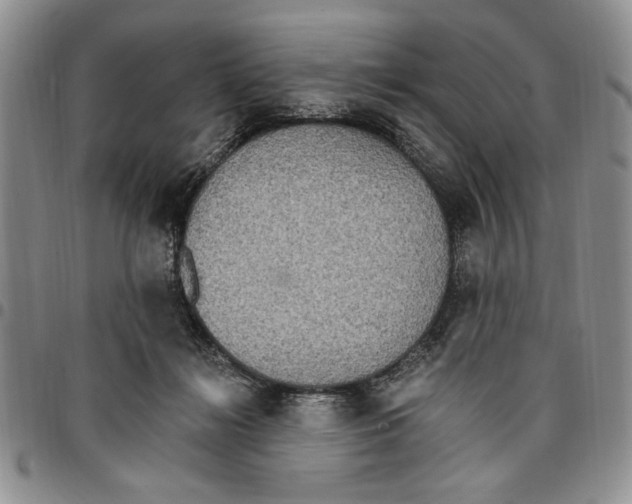 X0000096660268200803041207