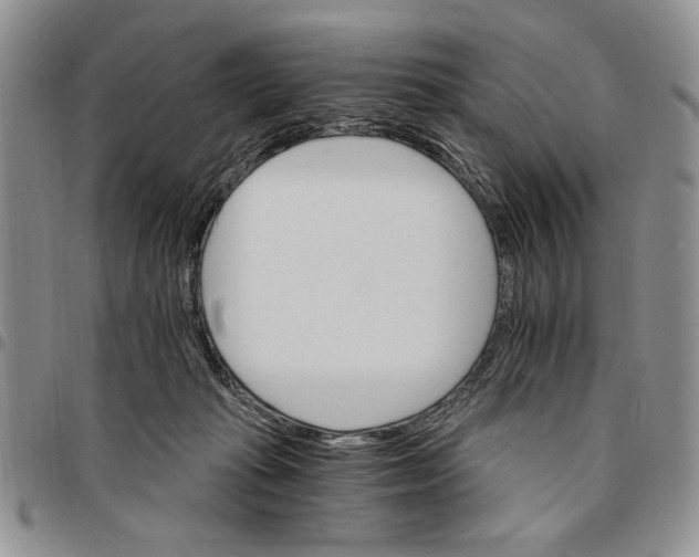 X0000096660269200803041207