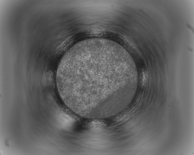 X0000096660270200803041207