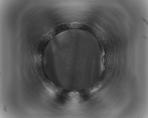 X0000096660271200803041207