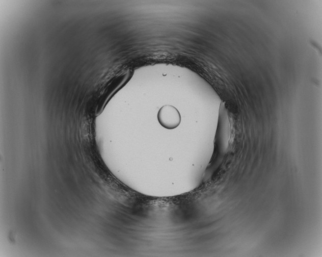 X0000096660272200803041207