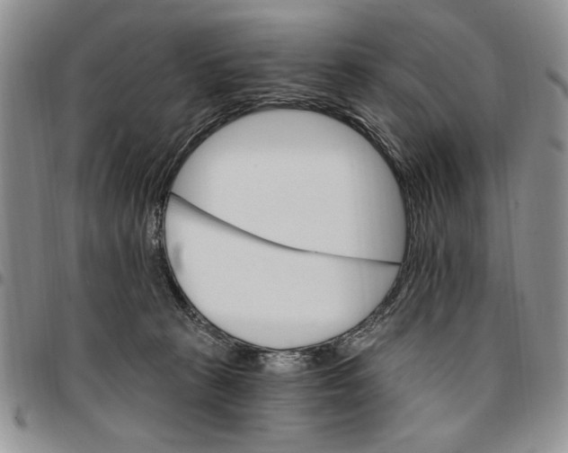 X0000096660273200803041207