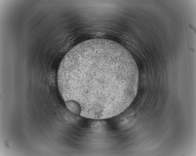 X0000096660274200803041207