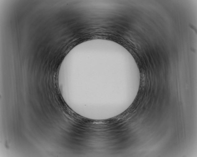 X0000096660275200803041207