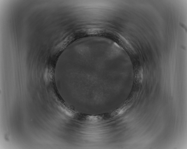 X0000096660277200803041207