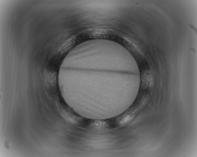 X0000096660278200803041207