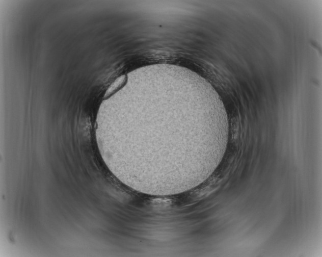 X0000096660279200803041207