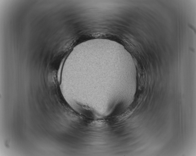 X0000096660280200803041207