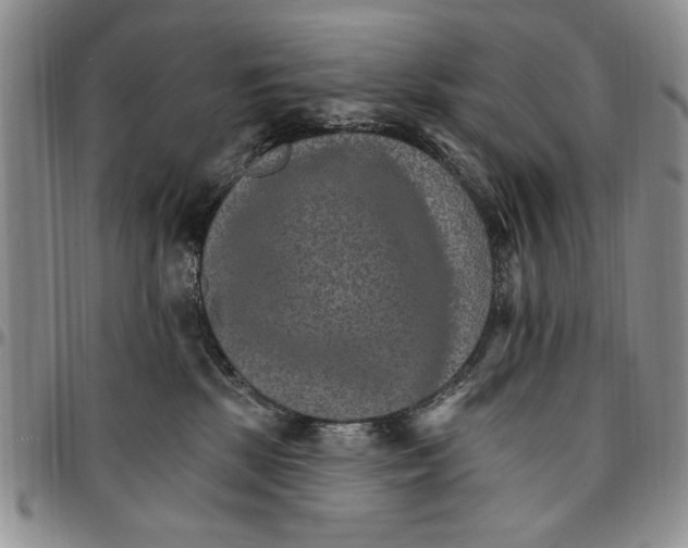 X0000096660281200803041207