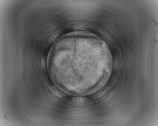 X0000096660282200803041207