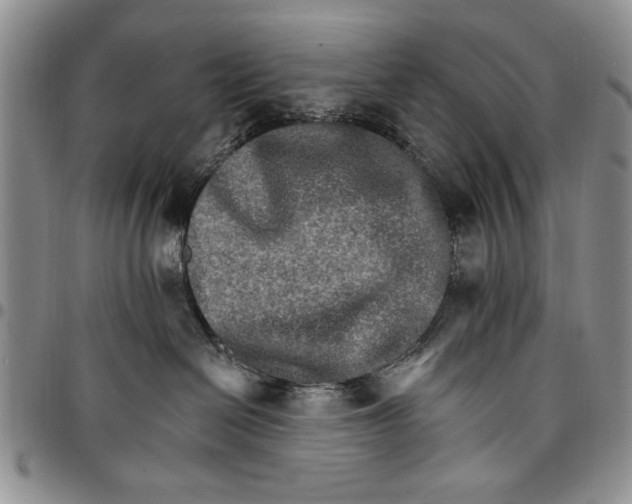 X0000096660286200803041207