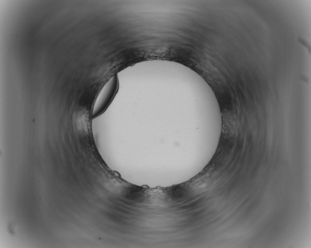 X0000096660287200803041207