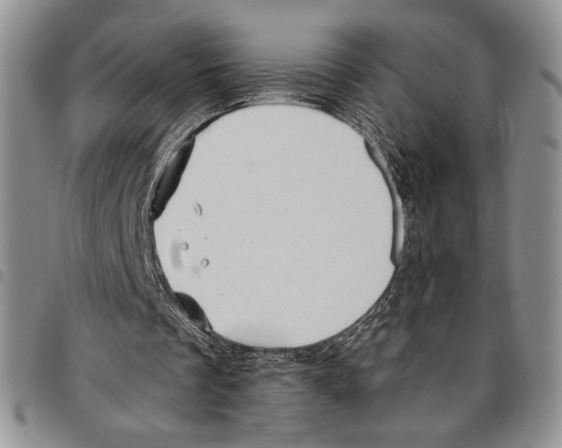 X0000096660289200803041206