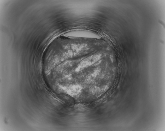 X0000096660290200803041206