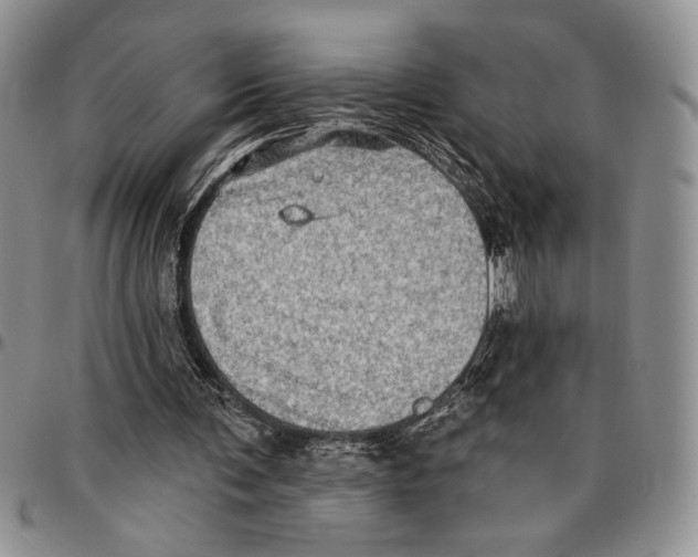 X0000096660291200803041206