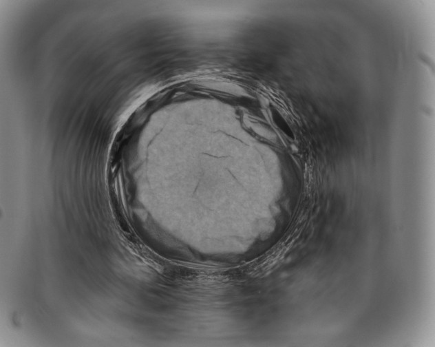 X0000096660292200803041206