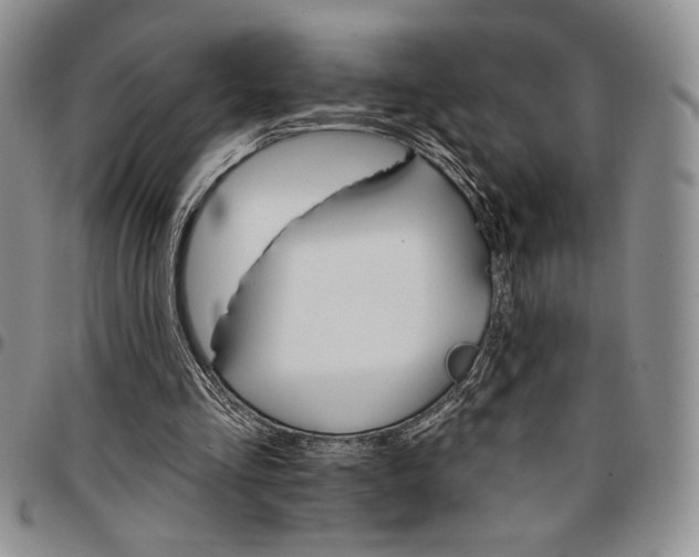 X0000096660293200803041206