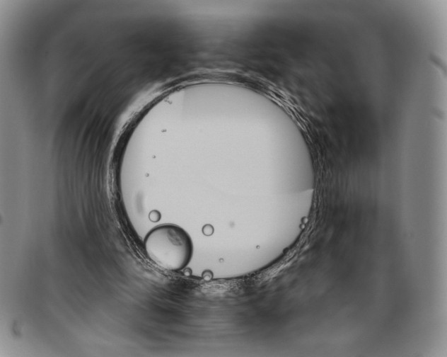 X0000096660294200803041206