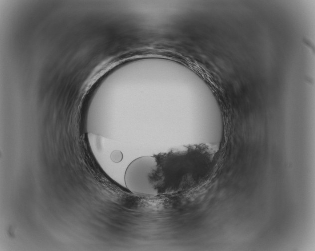 X0000096660295200803041206