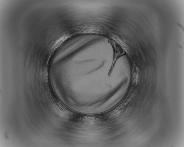 X0000096660298200803041206